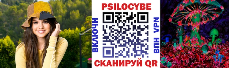 Галлюциногенные грибы Psilocybe  Купить закладки  Куса 
